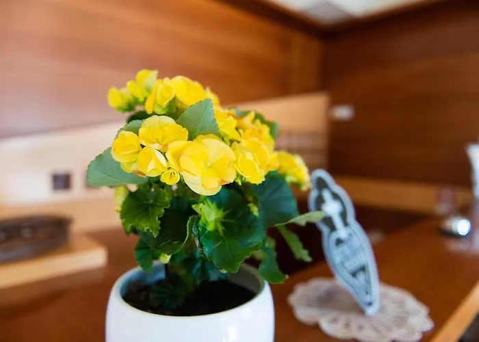Santa Emerenziana Bed & Breakfast Roma