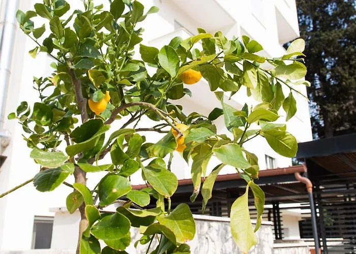 Bed & Breakfast Santa Emerenziana Roma